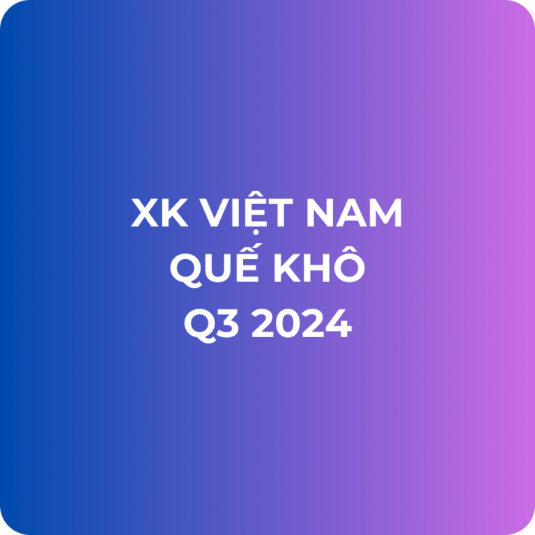 Báo cáo xuất khẩu Việt Nam Q3/2024 sản phẩm Quế và hoa quế chưa xay hoặc chưa nghiền (HS 09061900)