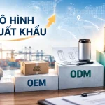4 mô hình xuất khẩu