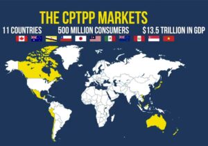CPTPP là con bài mà Trung Quốc, Ấn Độ không có