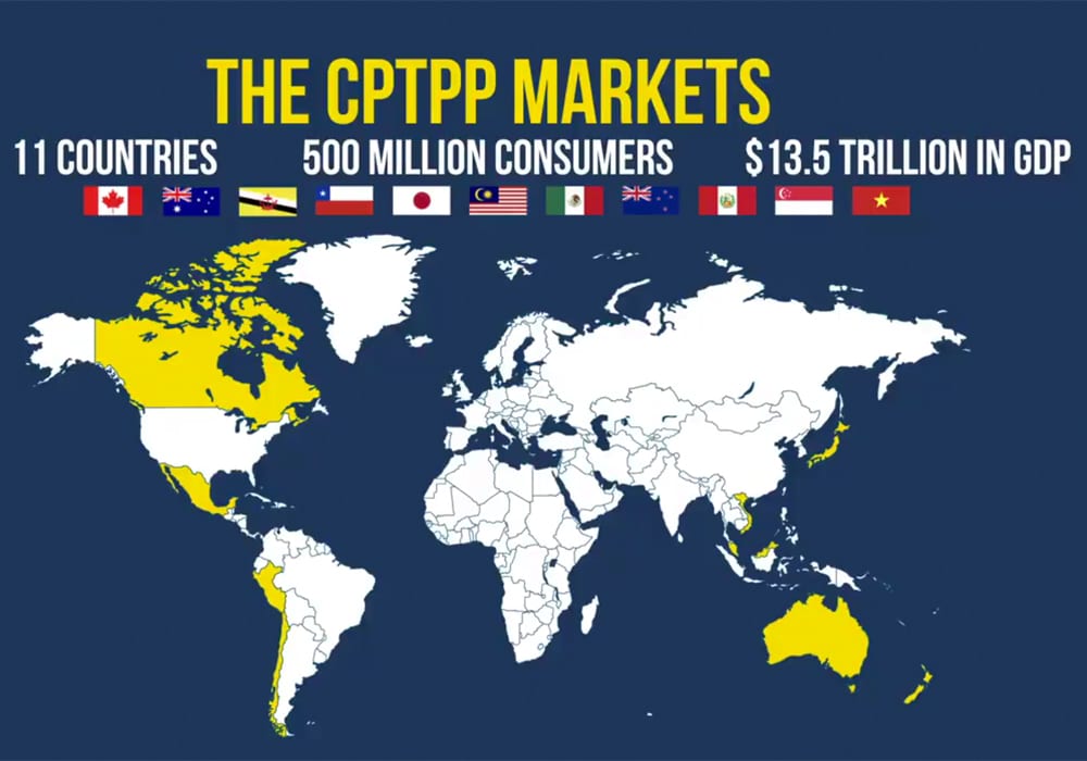 CPTPP là con bài mà Trung Quốc, Ấn Độ không có